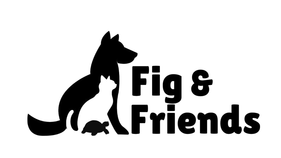 Final Logo (Transparent)